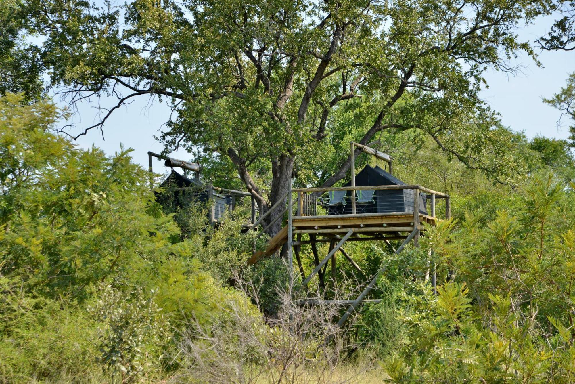 Rhino Walking Safaris Skukuza Exterior foto