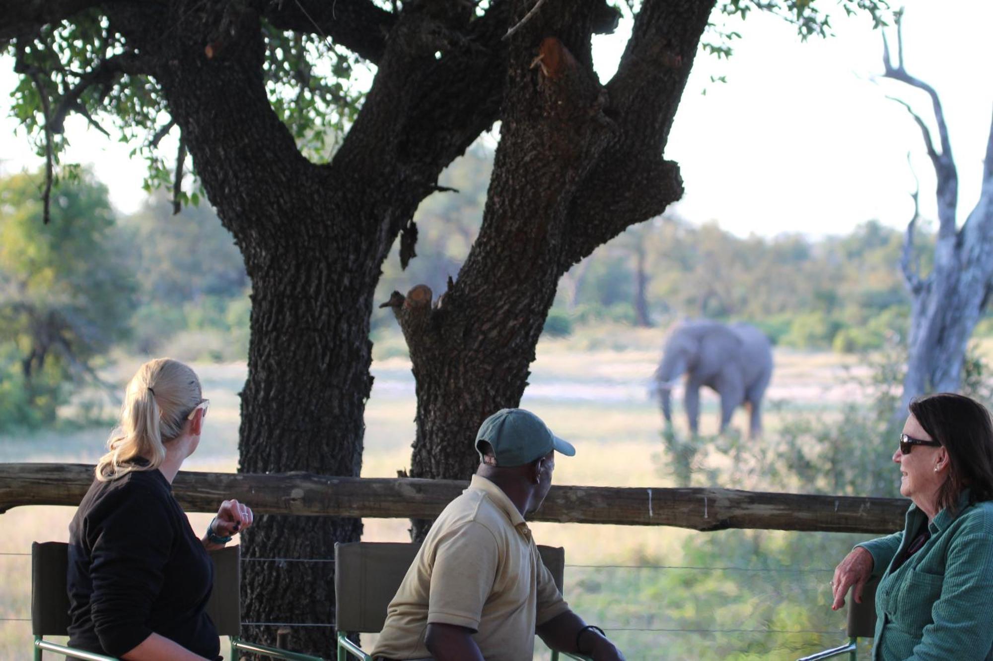 Rhino Walking Safaris Skukuza Exterior foto