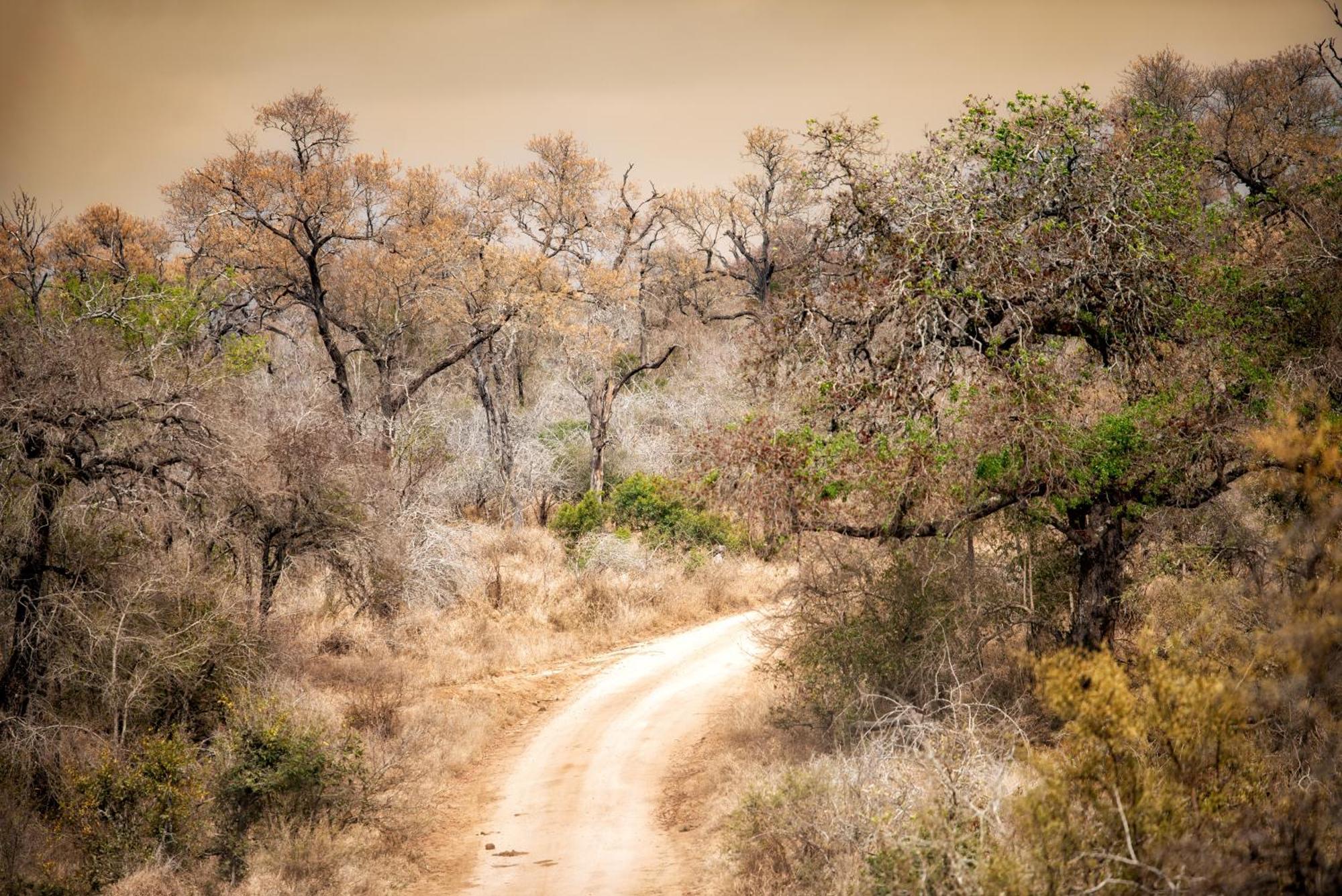 Rhino Walking Safaris Skukuza Exterior foto