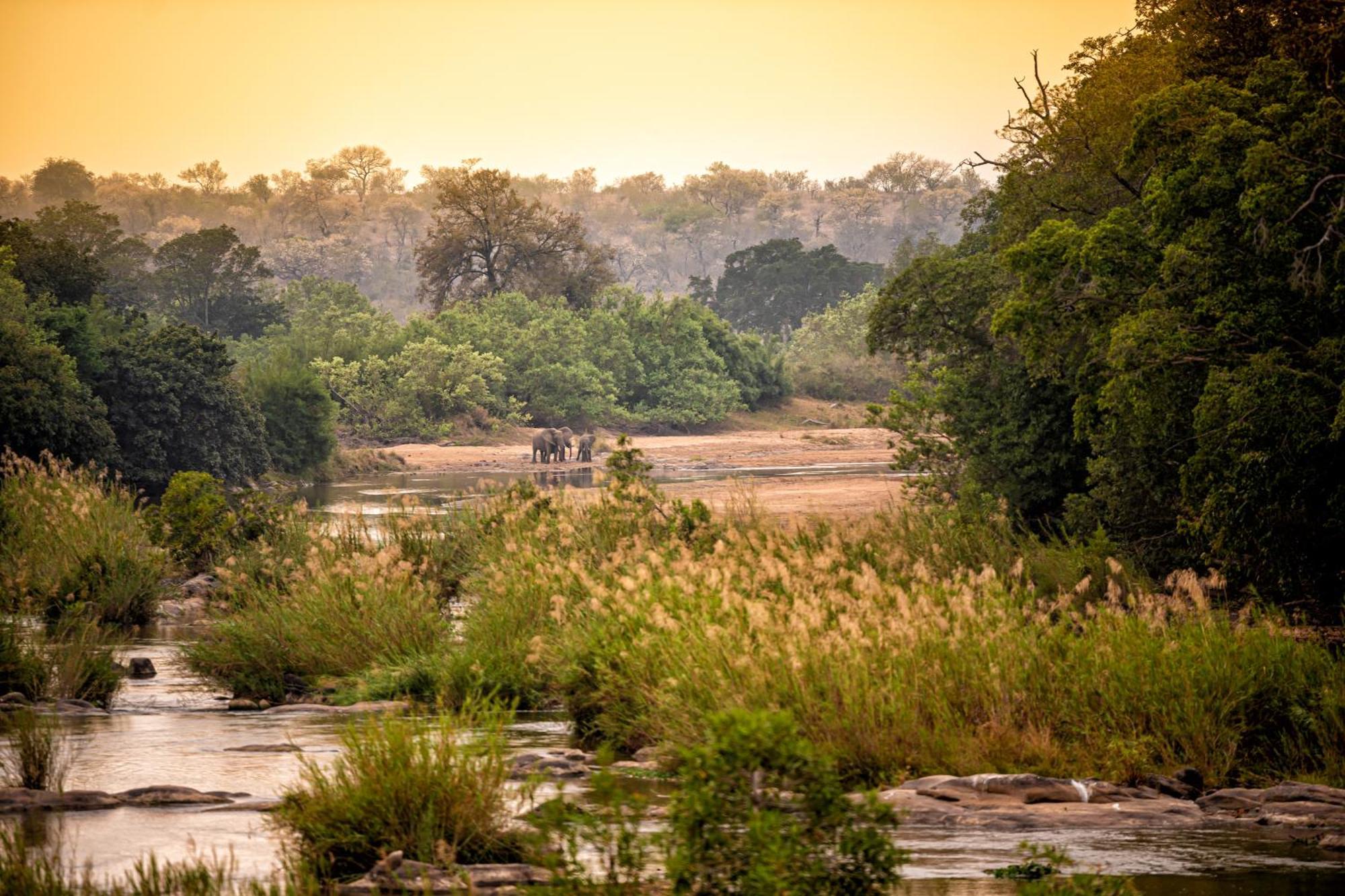 Rhino Walking Safaris Skukuza Exterior foto