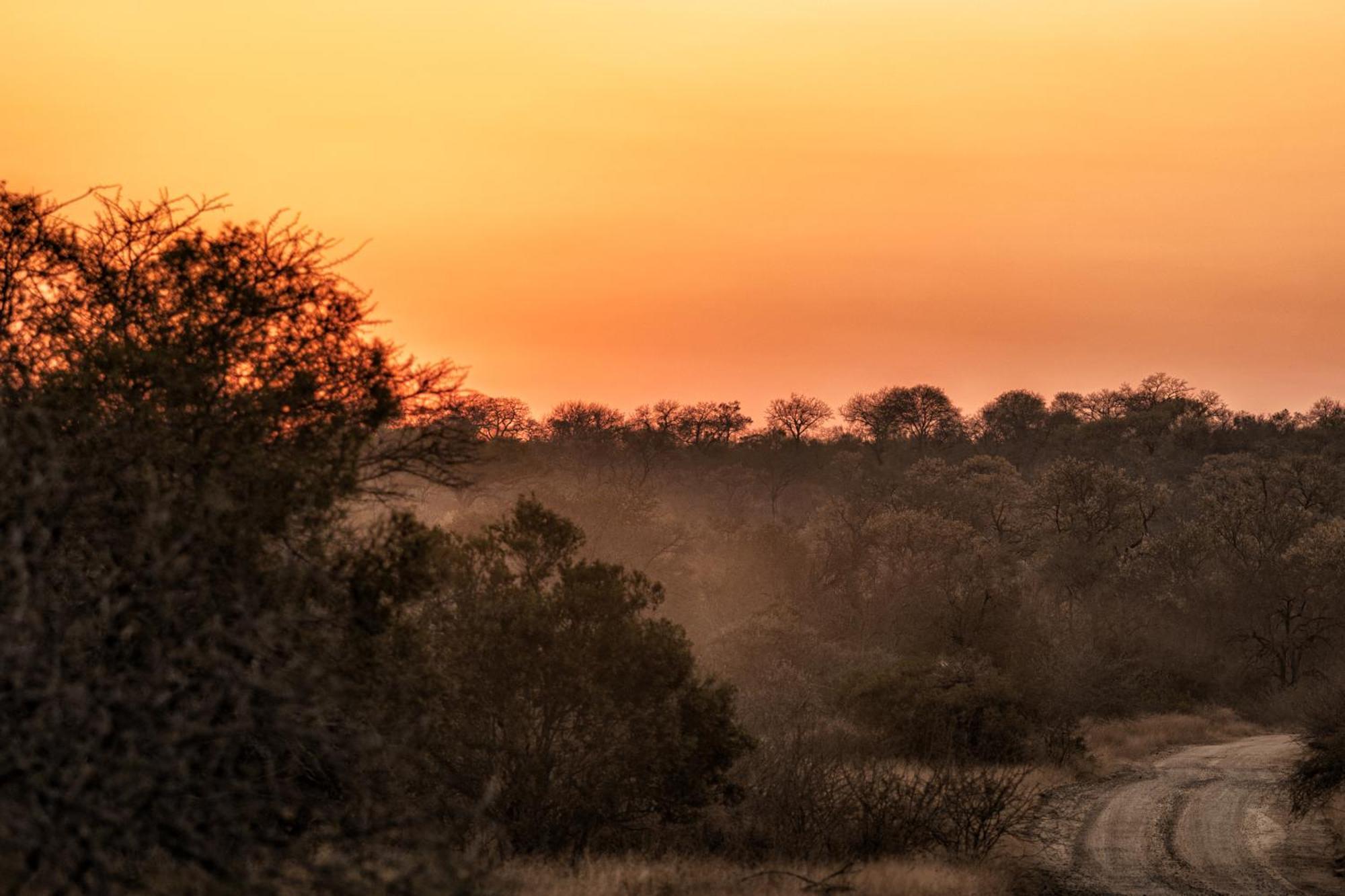 Rhino Walking Safaris Skukuza Exterior foto