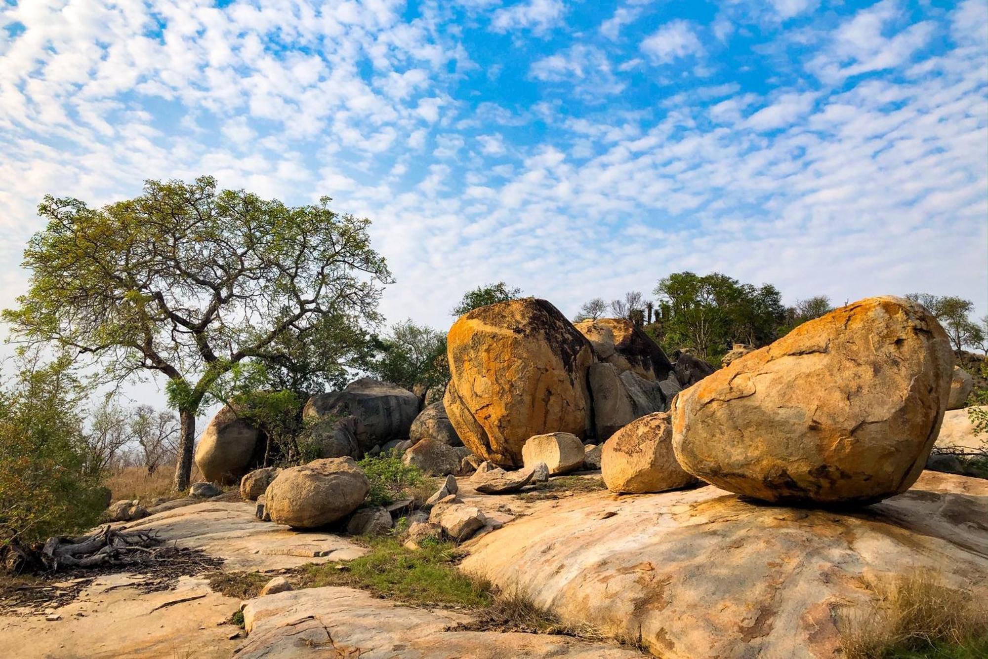 Rhino Walking Safaris Skukuza Exterior foto