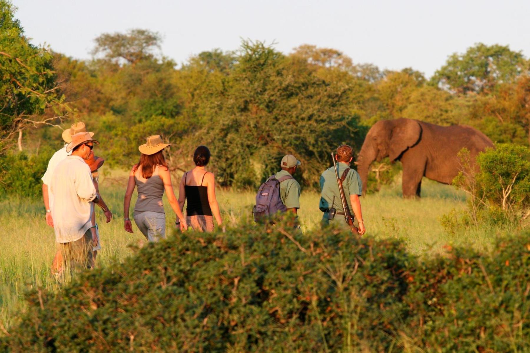 Rhino Walking Safaris Skukuza Exterior foto