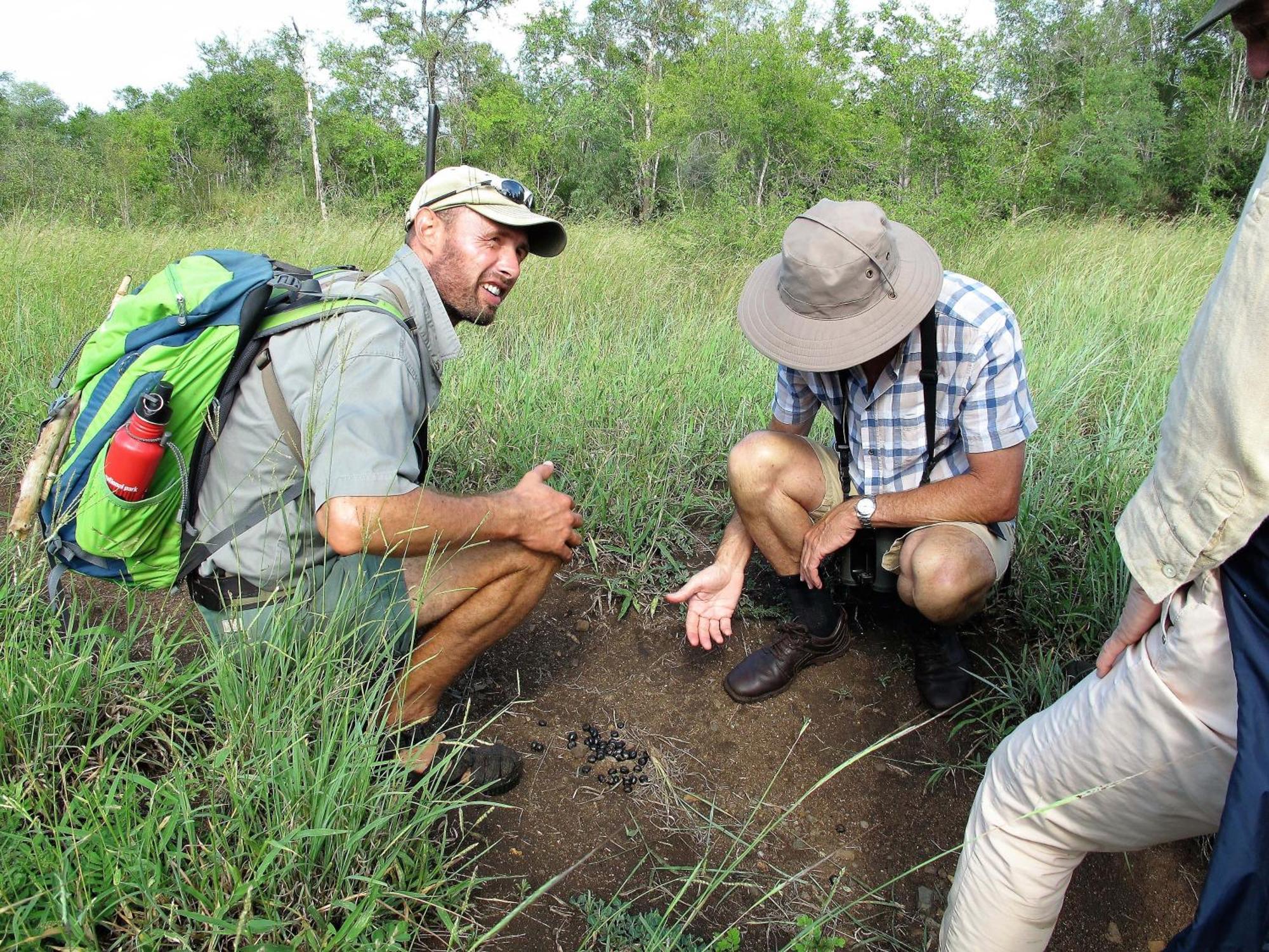 Rhino Walking Safaris Skukuza Exterior foto