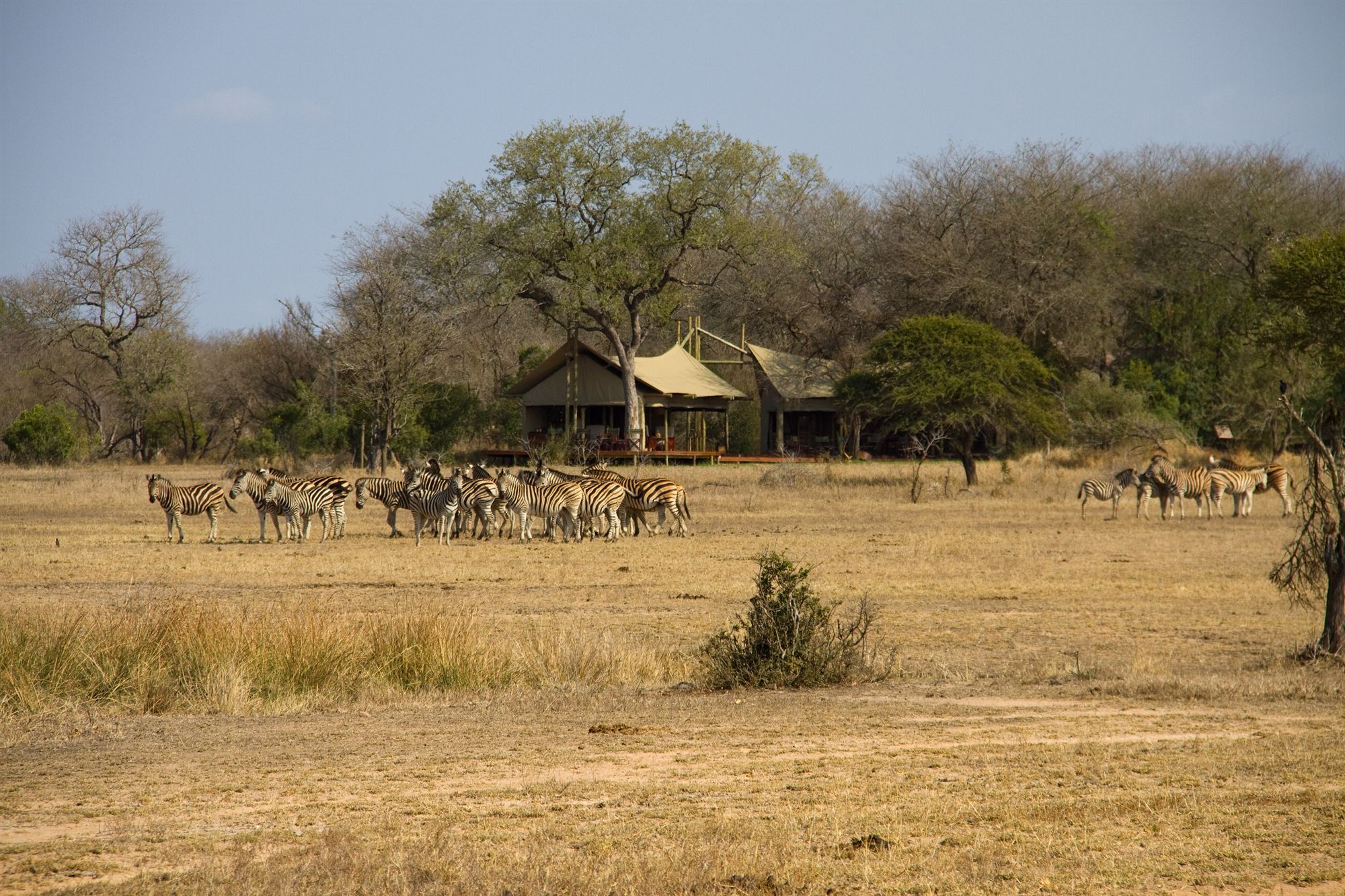 Rhino Walking Safaris Skukuza Exterior foto