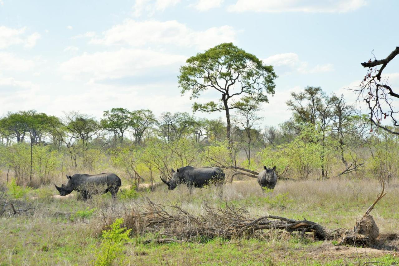 Rhino Walking Safaris Skukuza Exterior foto